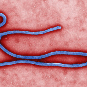 about-ebola