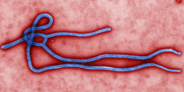 about-ebola